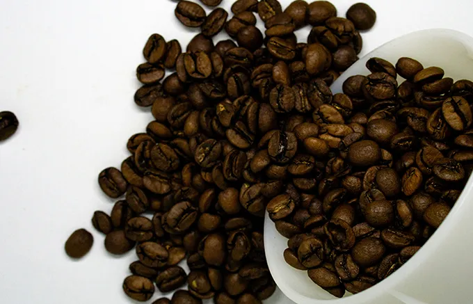 Supercritical CO₂ Extraction