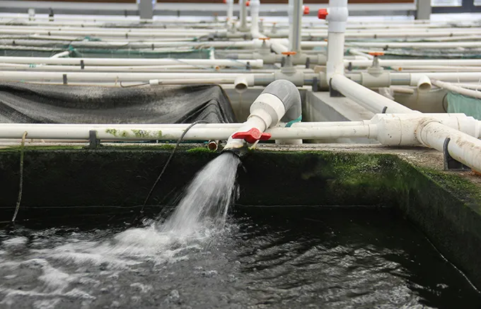 Water Wastewater