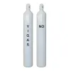 Nitric Oxide